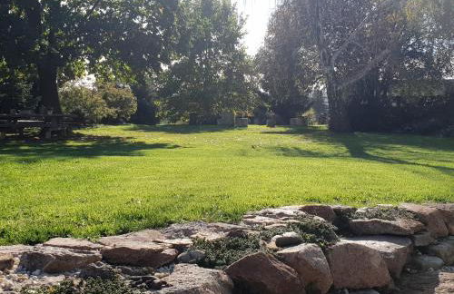 Ferienhof Elbauenblick - Foto 16