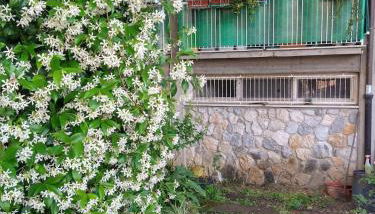 Apartment near station - Foto 5