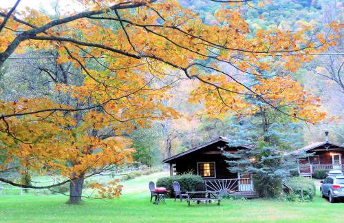 Simple Cabin Camping for Families in the Catskills of Upstate New York - Foto 1