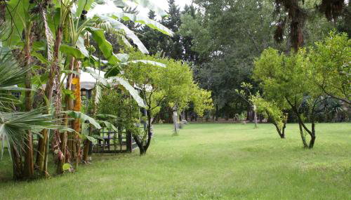 Case e Appartamenti Vacanze a Bivona - sul mare - Foto 2, Garden