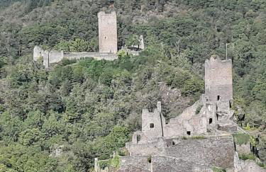 FeWo zum Römerturm - Foto 22