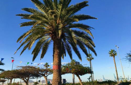 Apartamento Muelle Deportivo - Foto 56