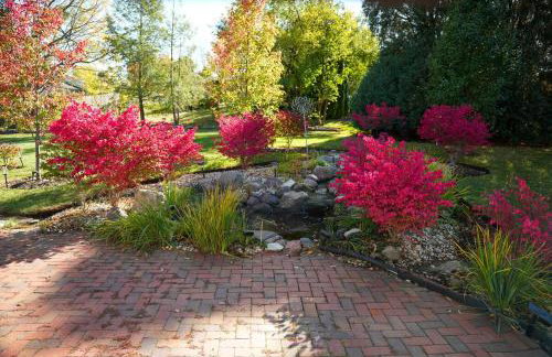 Las Lomas Luxury Home - Foto 26