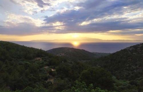 Eden View - Photo 12