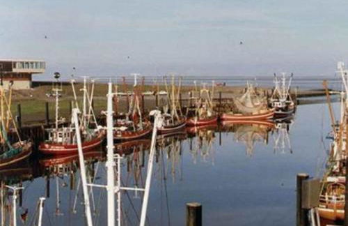 NEU! FeWo Deichblick 2 OG - Foto 7