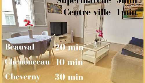 T2 Ctre ville Fibre proche Beauval - Photo 4