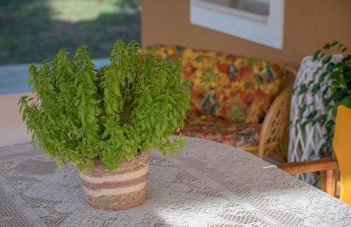 Jenny's House - Foto 31