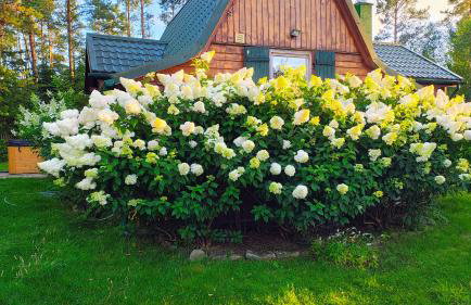 Chatka Baby Jagi - Domek z balią i kominkiem w lesie pośród jezior - Foto 16