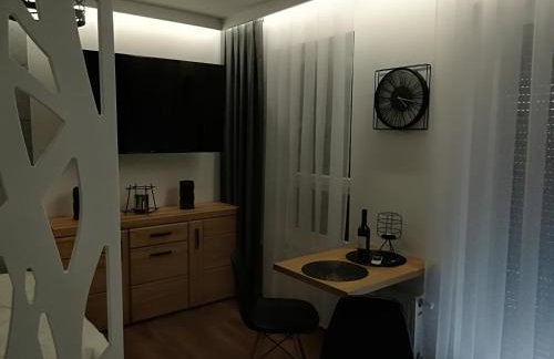 Apartament Wrocław Centrum Dorzecze Legnickiej - Photo 21