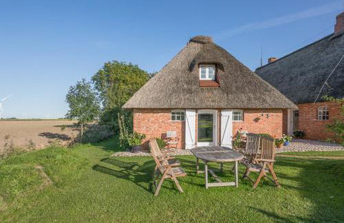 Idyllische kleine Reetdachkate mit Blick über die Felder - Kamin, Terrasse & Privatparkplatz - Foto 17