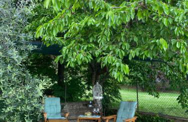 Il giardino segreto - Foto 25