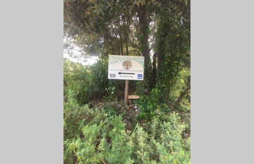 Ma petite cabane Gites des oliviers - Foto 21