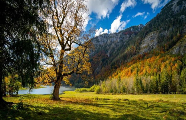 Ferienwohnung in Ruhpolding - Photo 32