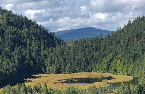 Chalet 10 pers sauna & SPA La tanière des Vosges - Foto 48