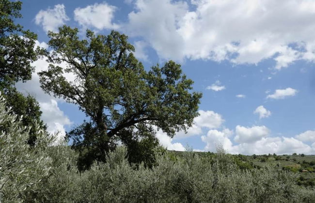 Apartment in Umbria With Pool and Sauna - Foto 25
