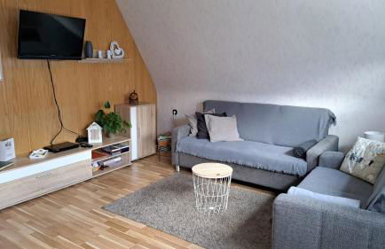 Ferienwohnung Friedrichsruh - Foto 13