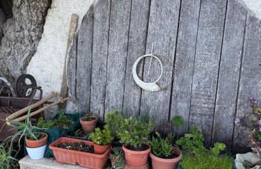 La Fattoria - Foto 31