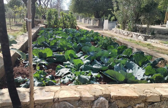 Holiday Home Višnja with Pool - Foto 28