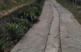 Cabana Deck 2 - Foto 10