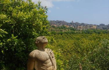 Il Primo Fiore - Foto 23