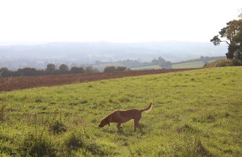 The Nestle - A Romantic Rural Retreat - Foto 41