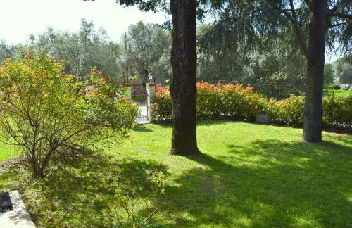 Versillia Olive Residence - Foto 34