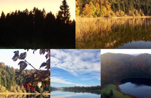 Gite Des Lacs Jumeaux - Foto 29