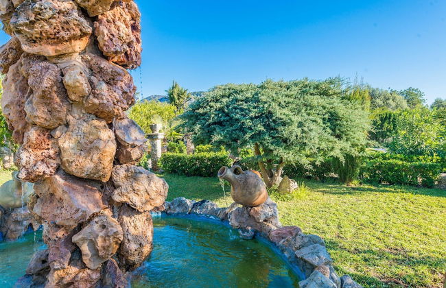 Hibiscus in Sa Pobla - Foto 33