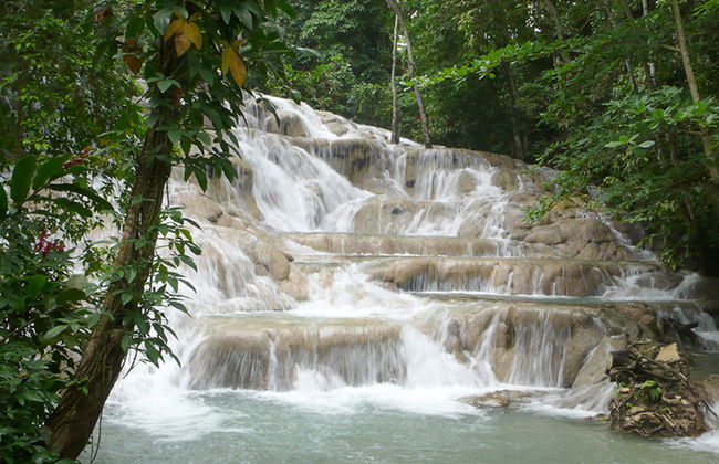 Entdecken Sie Ocho Rios, Dunn's River Falls und 9 Miles – Ganztägige Tour - Foto 1