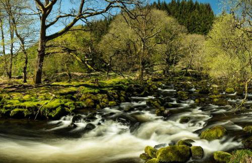 Luxurious Riverside Cottage in Snowdonia National Park - Foto 28