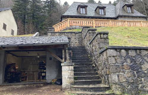 Maison Auvergnate Le repaire des Milans - Foto 66