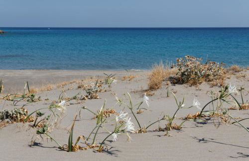 Villa Kalliopi ΙnCreteble Cretan Resindences Collection - Photo 52