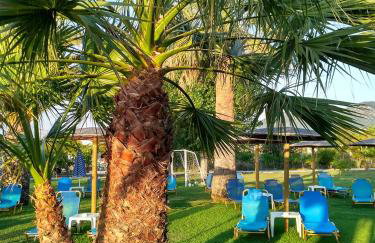 Elizabeth Roda - Foto 39