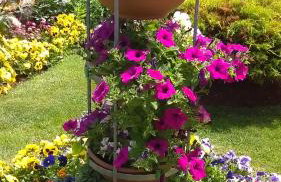 Andela Apartment - Foto 26