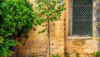 Maison des Chanoines - Foto 3