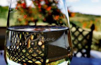 Fattoria La Pieve - Foto 13