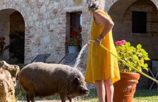 Agriturismo Sole - Foto 1