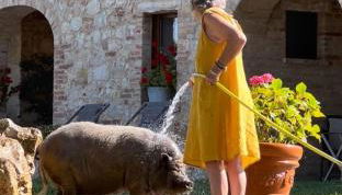 Agriturismo Sole - Foto 1