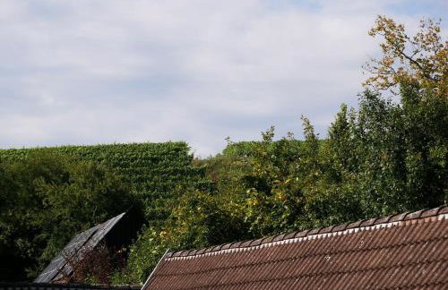 Haus Der Malerin Andrea Gawaz - Foto 11