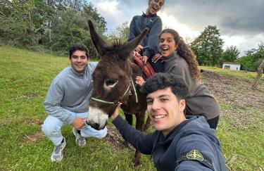 Casa rural La Frambuesa - Foto 22