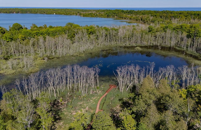 The Rushes - Foto 56