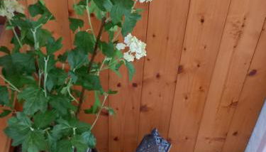 Appartamento 'Io e te' - Photo 5