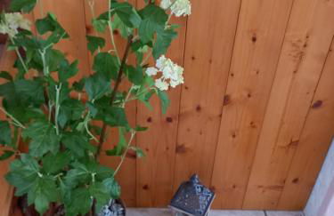 Appartamento 'Io e te' - Photo 5