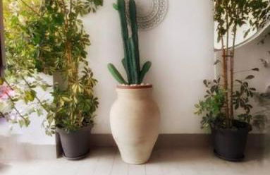 villa coral mondello - Photo 20