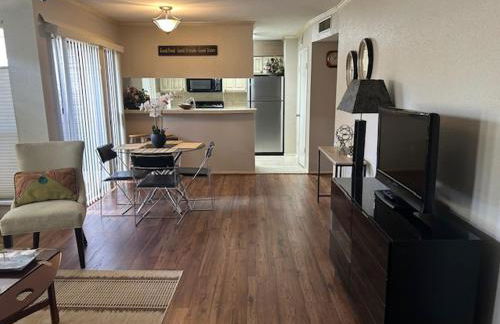 Houston Med Center/NRG Area 2B/2B All Inclusive - Foto 6