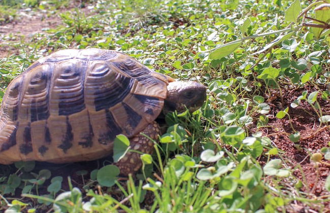 Apartments Hrabar - Photo 57