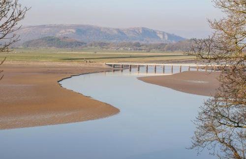 Shady Bowers - Photo 18