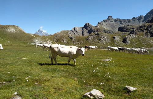 Agriturismo Ciambun - Foto 6