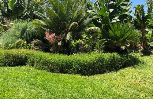 Taburiente - Foto 39