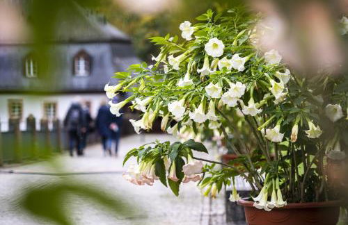 Hideaway im Odenwald nahe Heidelberg - Foto 13